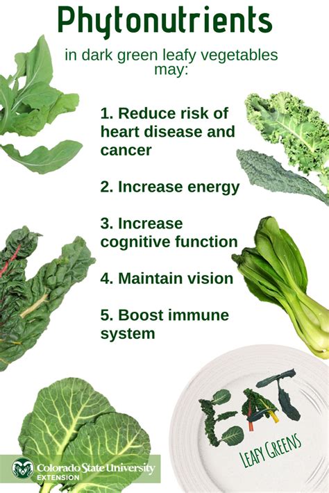 Green Leafy Vegetables Benefits