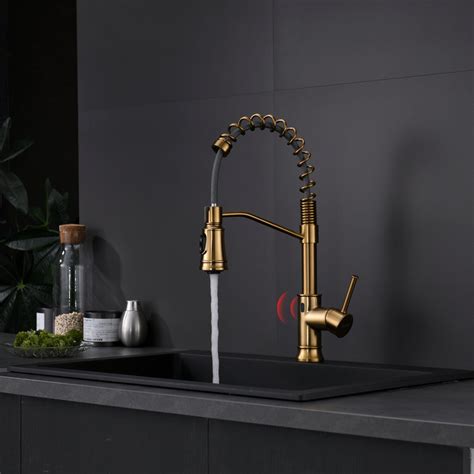 Flg Pull Down Touchless Kitchen Faucet Reviews Wayfair