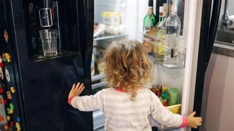 Após mudanças oito em cada dez geladeiras não poderão mais ser