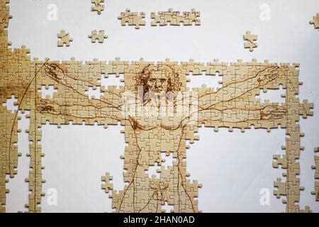 Unvollendete Puzzle Set Von Leonardo Da Vinci Vitruvian Man Anatomie