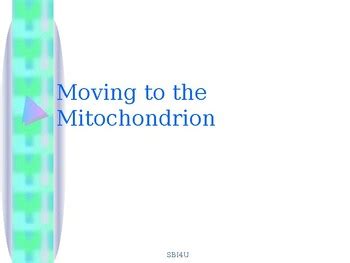 Moving to the mitochondria (krebs cycle...) | TPT