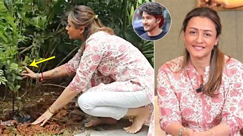 Mahesh Babu Wife Namrata Shirodkar Planted Saplings On The Eve Of International Womens Day