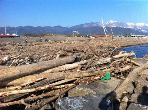 Detriti Sulle Spiagge Di Ameglia E Sarzana Aperto Il Bando Per La