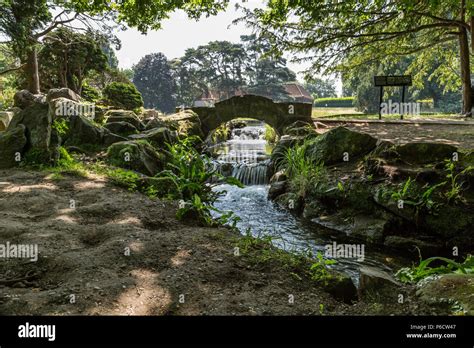 Bridge Over Stream At Beddington Park Wallington Surrey Stock Photo