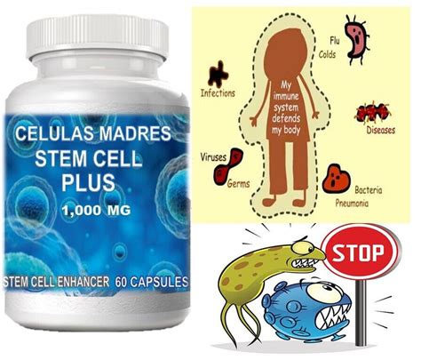 NEW STEM CELL ENHANCER 60 CAPS 1000 Mg REGENEX CELULAS MADRES Bioxcell