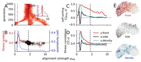 Evolution under predation: (A) Overlay of three evolutionary runs ...