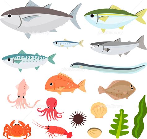 海の生き物魚イカ貝のイラスト イラスト素材 6515648 フォトライブラリー Photolibrary