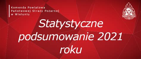 Statystyczne Podsumowanie Roku Komenda Powiatowa Pa Stwowej