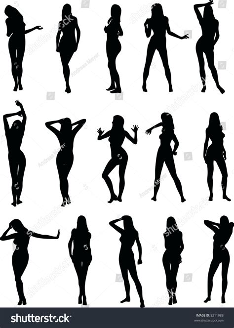 Illustration Of Sexy Woman Silhouettes 8211988 Shutterstock