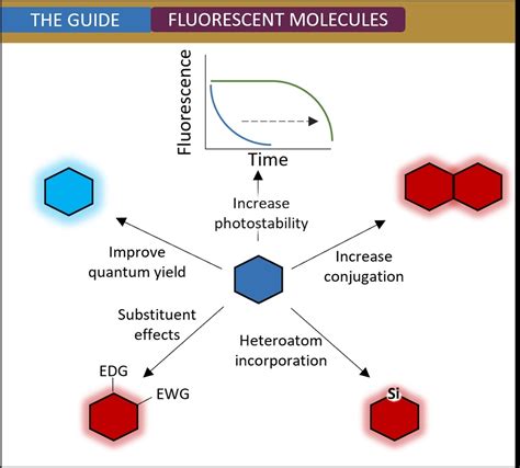 An Organic Chemist S Guide To Fluorophores Understanding Common And