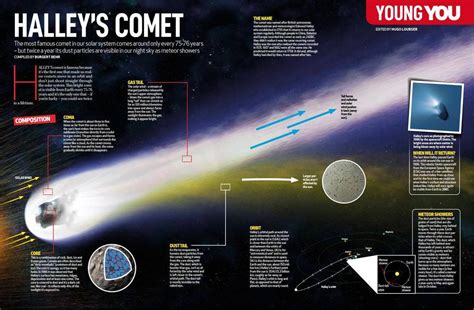 Halleys Comet You South Africa Everand