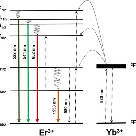 Energy Level Diagram Of Yb And Er Ions And Mechanisms For The