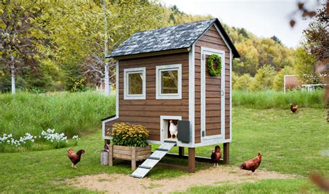 4x8 Medium Chicken Coop Plan For 8 Chickens Craftcamp™