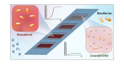 Real Time Respiration Changes As A Viability Indicator For Rapid