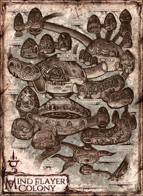 Cartography — Jared Blando