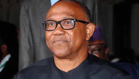 Labour Party Reserves 2027 Presidential Ticket For Peter Obi Vanguard