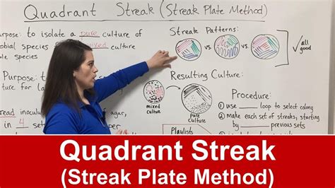 Quadrant Streak Streak Plate Method YouTube