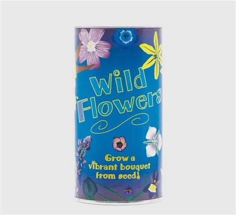 Wildflower Bouquet Complete Seed Kit Plantosaurus Rex Llc