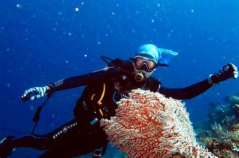 10 Spot Diving Dan Snorkeling Terbaik Di Bali Nibble