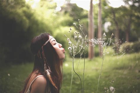 Free Images Tree Nature Forest Plant Photography Meadow