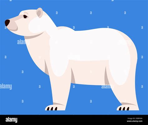 Polar Bear Side