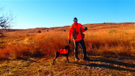 Prairie Chicken Sharptail Grouse Pheasant Hunting In The Nebraska