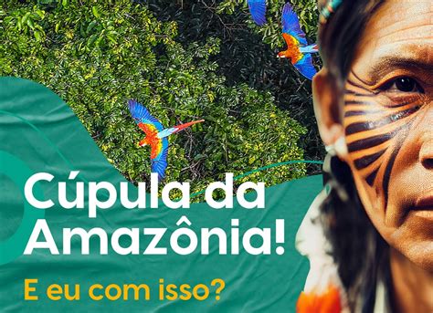 Arquivo De Amazônia Fundação Rede Brasil Sustentável