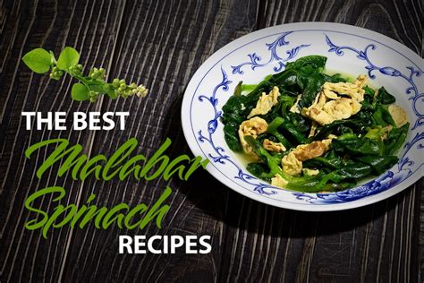 Best Malabar Spinach Recipes to Try in 2025