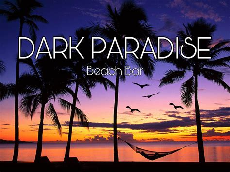 Dark Paradise Beach Bar Discover Sithonia