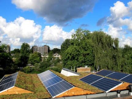 Groen Daken Groene Daken Zonnepanelen Isolatie Regenwater Groenten