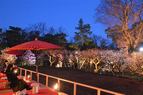 Kyoto Kyoto Regular Sightseeing Bus Tour Kitano Tenmangu Shrine