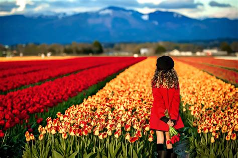 Adventure Family Photographer Seattle | Tulip Festival Skagit Valley ...