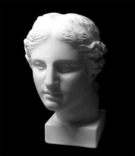 Голова Венеры Милосской, гипс. 10-106 - Art Atribut