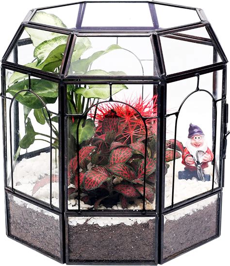 Buy Redhugo Large Glass Terrarium Handmade Centerpiece Display Box T Planter Containers