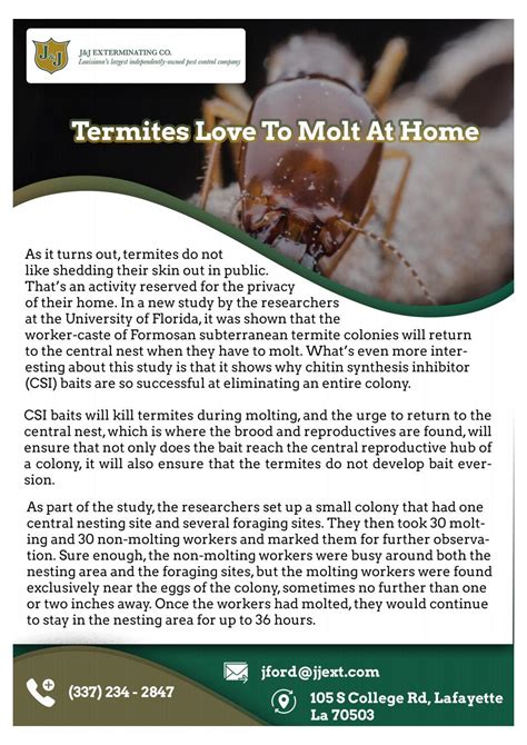 Deridder Termite Control Houma Pest Control By Infographiceseo Issuu