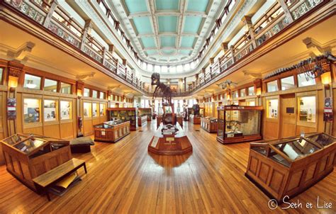 Musée Redpath Le Trésor De Mcgill Les Voyages De Seth Et Lise