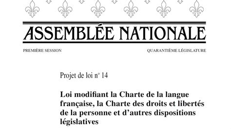 Lavenir Du Projet De Loi 14 Entre Les Mains De La Caq Radio Canada