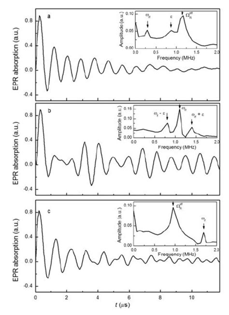 Absorption Signals Of The Rabi Oscillations For The Fixed Amplitudes Of