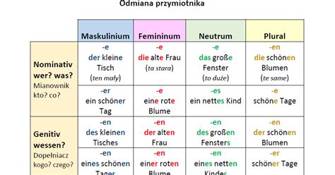 Odmiana Przymiotnika Studentka W Dre Nie