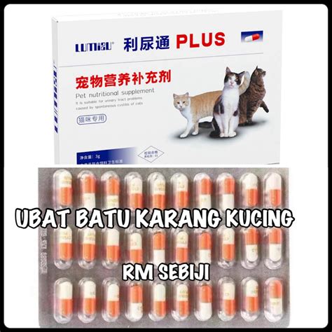 Vetplus Cystaid Plus Ubat Batu Karang Kucing Lawas Kencing Darah