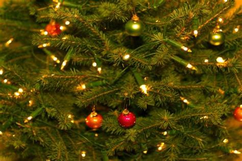 Christmas Tree Fire Prevention Tips Eandk Restore