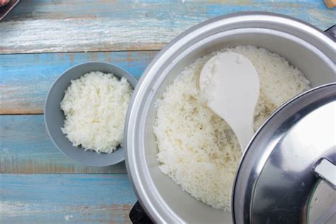 Rice Cooker Vs Pressure Cooker Are They The Same Or Different