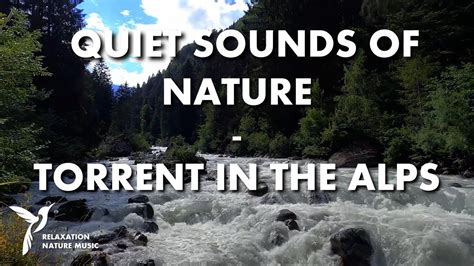 Sons Calmes De La Nature Torrent Dans Les Alpes YouTube