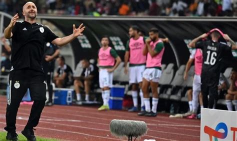 Algérie Djamel Belmadi avec les Fennecs jusquen 2026