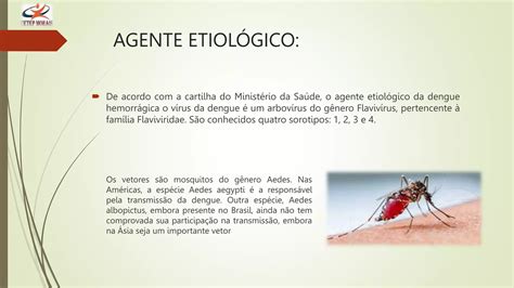 DoenÇas Infec Dengue Hemorrágica Pptx