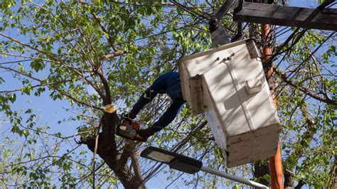 Edemsa programó cortes de energía en dos departamentos este domingo