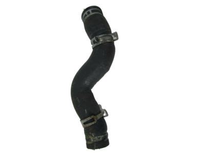 Genuine Nissan Maxima Radiator Hose