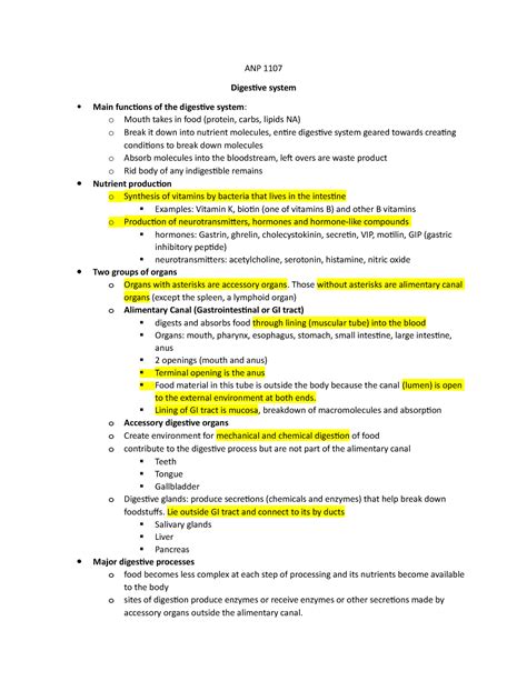 Digestive Notes ANP 1107 Digestive System Main Functions Of The