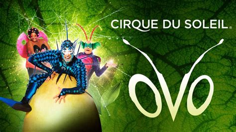 OVO by Cirque du Soleil llega a España en 2023 Ticketmaster Blog