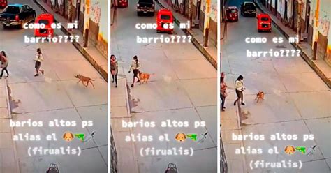 TikTok viral perro aprovecha distracción de joven y se tira encima de